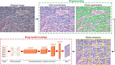 Histopathological Classification of Canine Cutaneous Round Cell Tumors Using Deep Learning: A Multi-Center Study